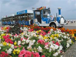 Blumenbeet-Bahn