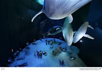 Ozeaneum-Stralsd