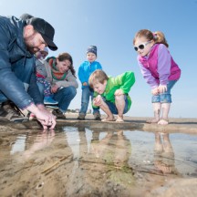 Wattenmeer