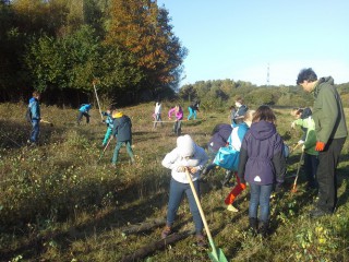 2015_Entkusseln_Stiftung_Natur_im_Norden