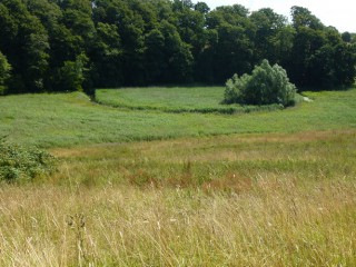 Kossautal Foto: Stiftung Naturschutz