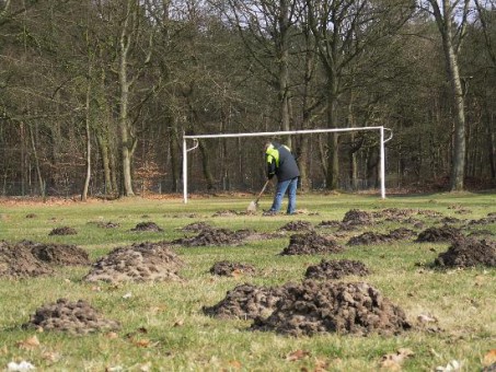 tbf010316_Maulwurf-Fussballfan_Kroeger_003