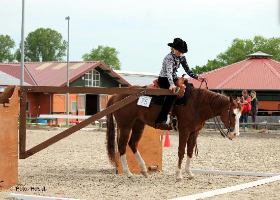 Westernreiten0395