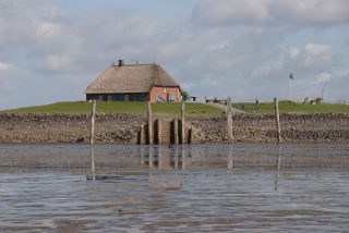 Foto: Hallig Habel ( Verein Jordsand)